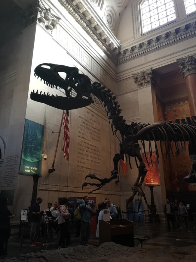 Lugar American Museum of Natural History