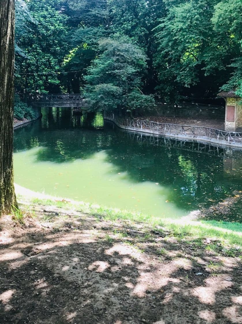 Lugar Bom Jesus do Monte