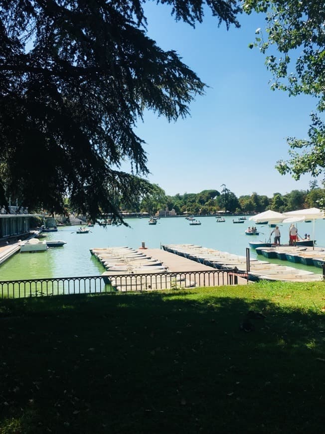 Lugar Parque de El Retiro