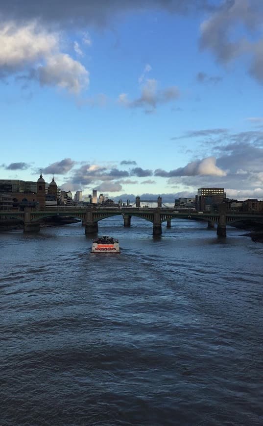 Place Millennium Bridge