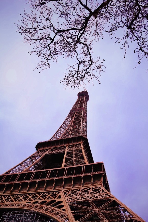 Lugar Torre Eiffel