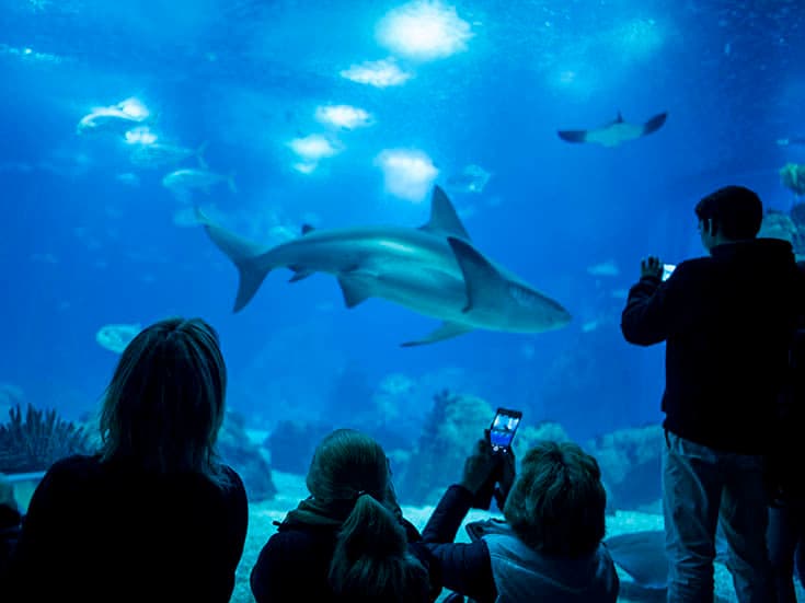 Lugar Oceanario de Lisboa