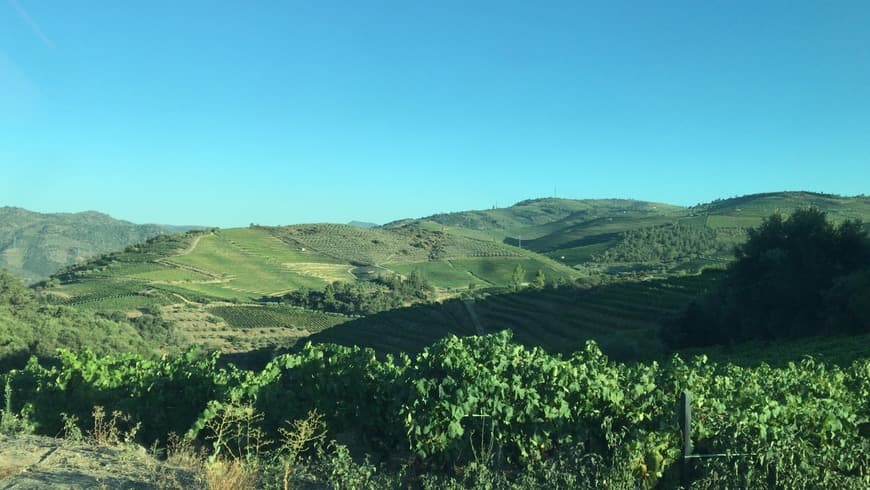 Place Soutelo do Douro