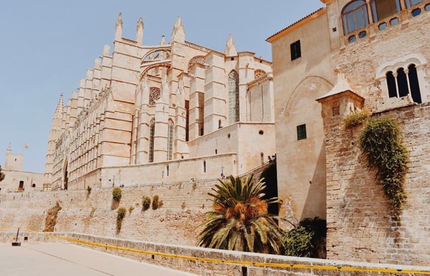 Place Catedral-Basílica de Santa María de Mallorca