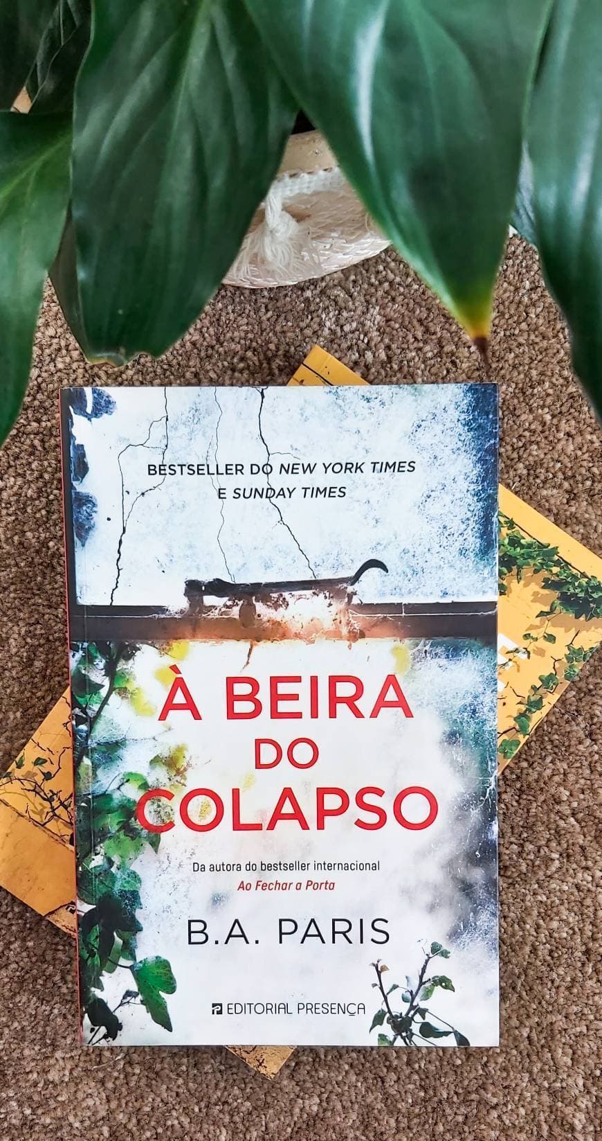 Book À Beira do Colapso