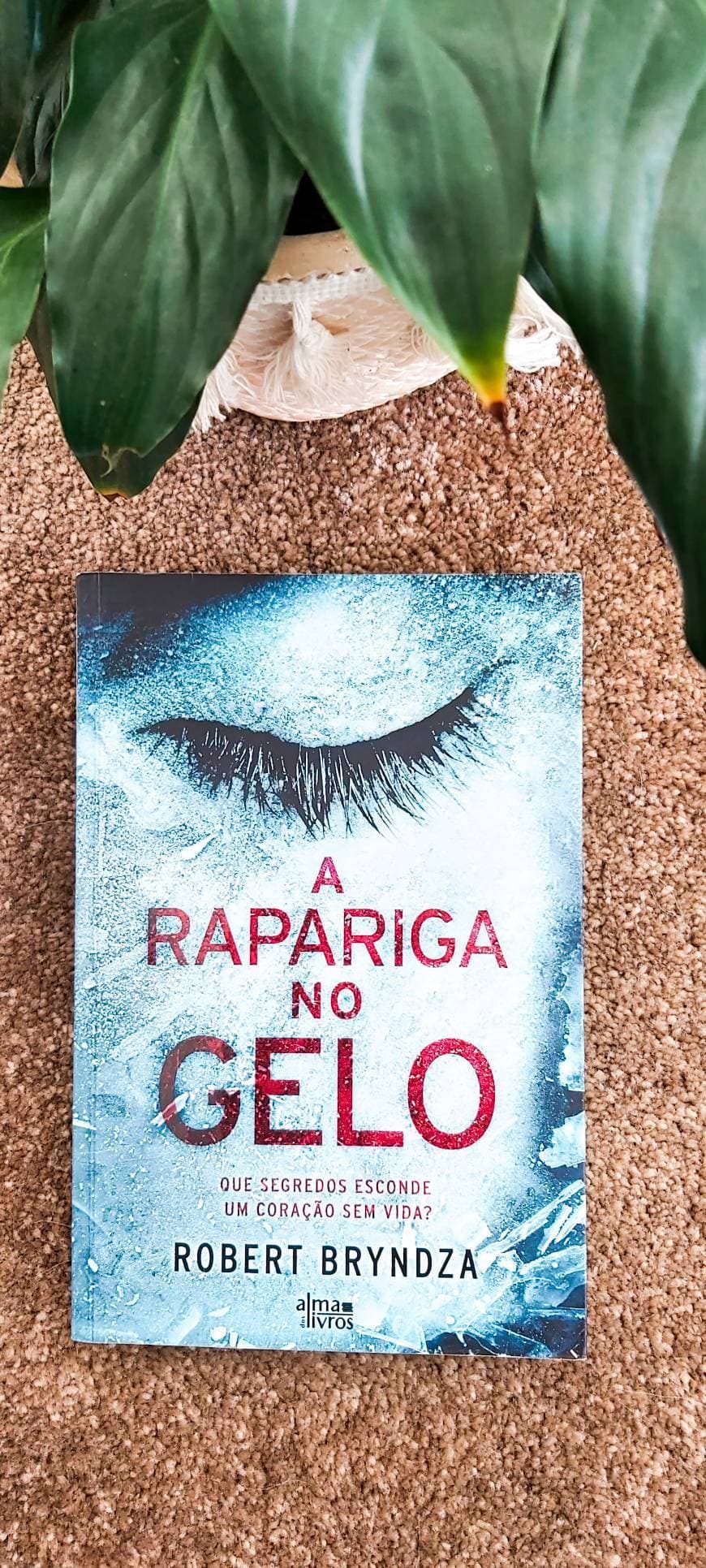 Book A Rapariga no Gelo