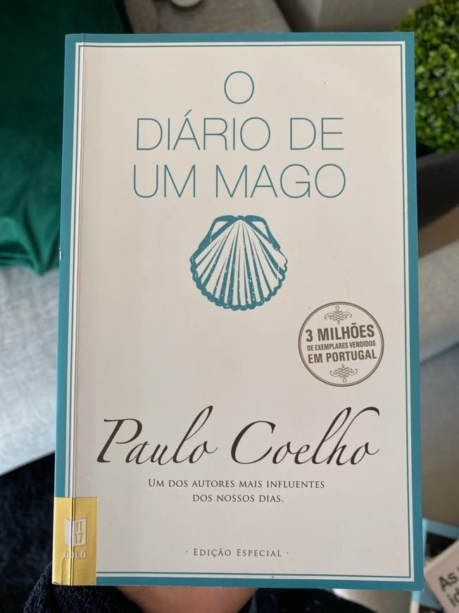 Book O Diário de um mago