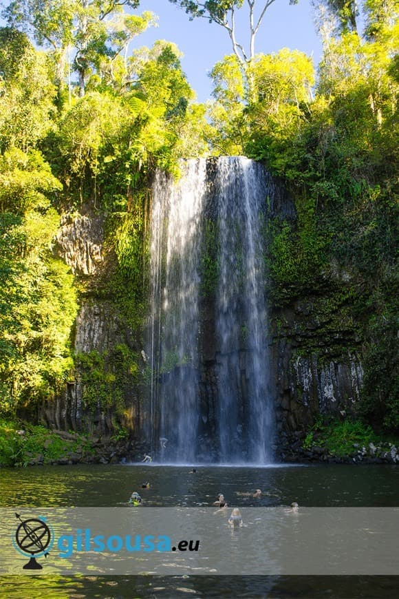 Place Millaa Millaa Waterfall