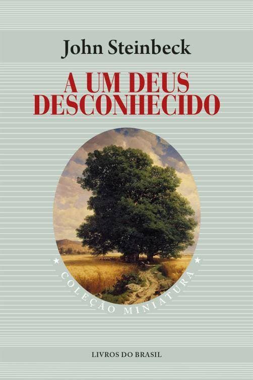 Libro A um deus desconhecido 