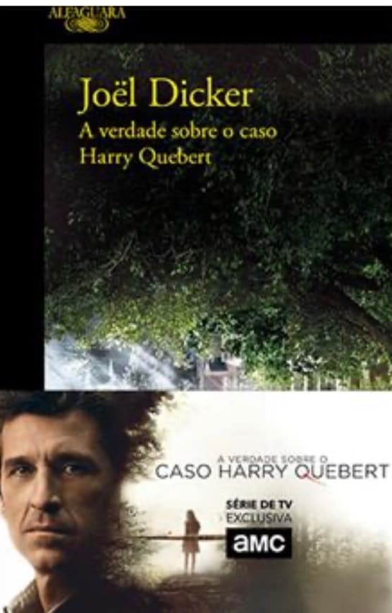 Book A verdade sobre o caso de Harry Quebert 