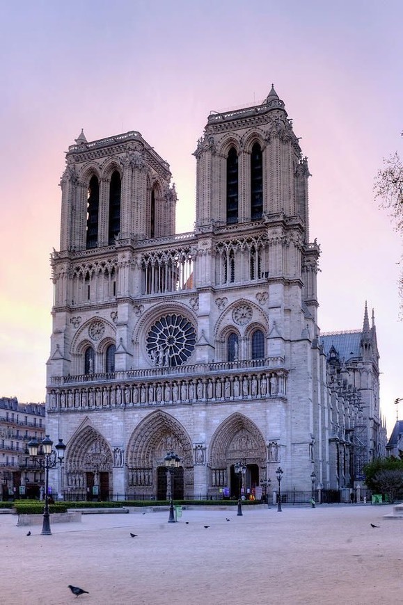 Lugar Notre Dame