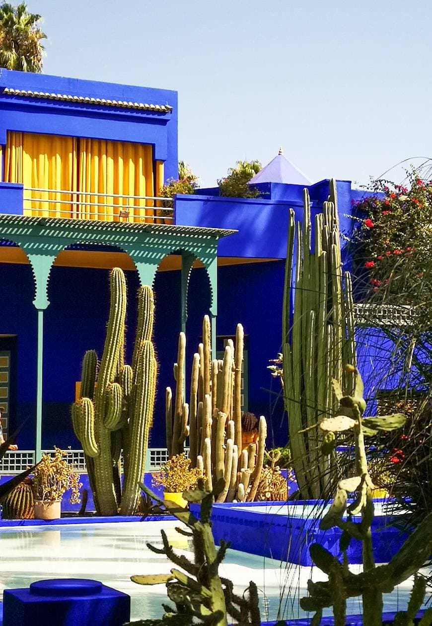 Lugar Jardín Majorelle