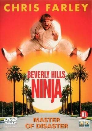 Película Beverly Hills Ninja