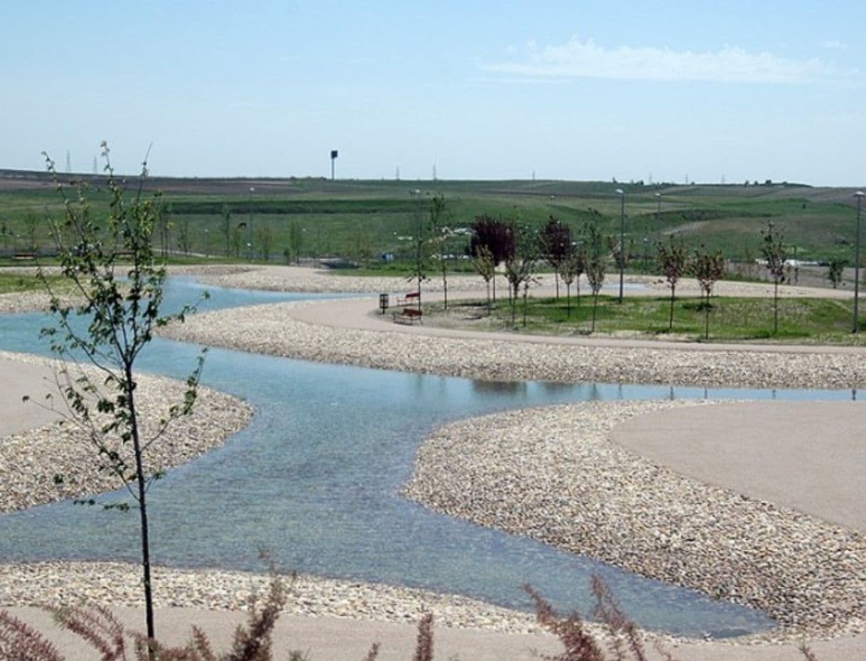 Lugar Arroyo de la Gavia