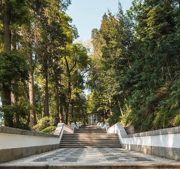 Place Bom Jesus do Monte