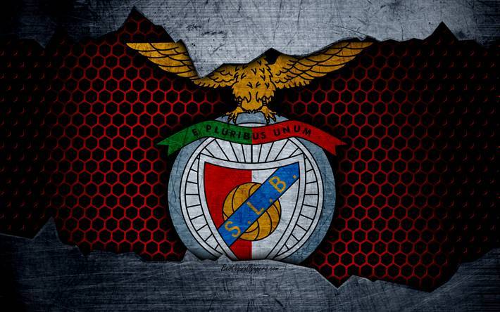 Moda BENFICA 