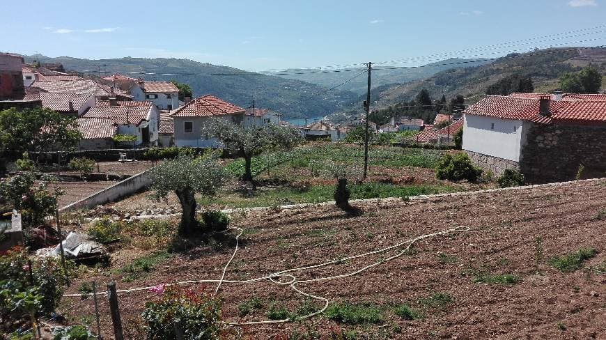 Place São Mamede de Ribatua