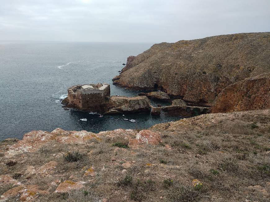 Place Berlengas