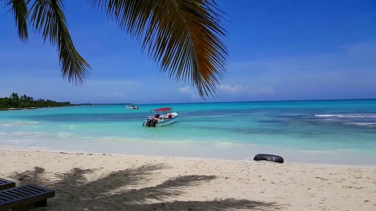 Lugar Isla Saona