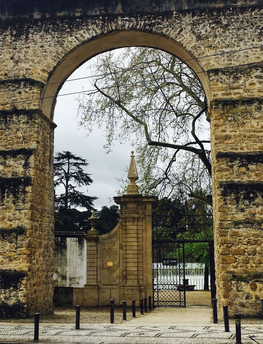 Place Jardim Botânico da Universidade de Coimbra