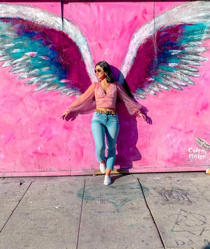 Place Angel wings Melrose Avenue