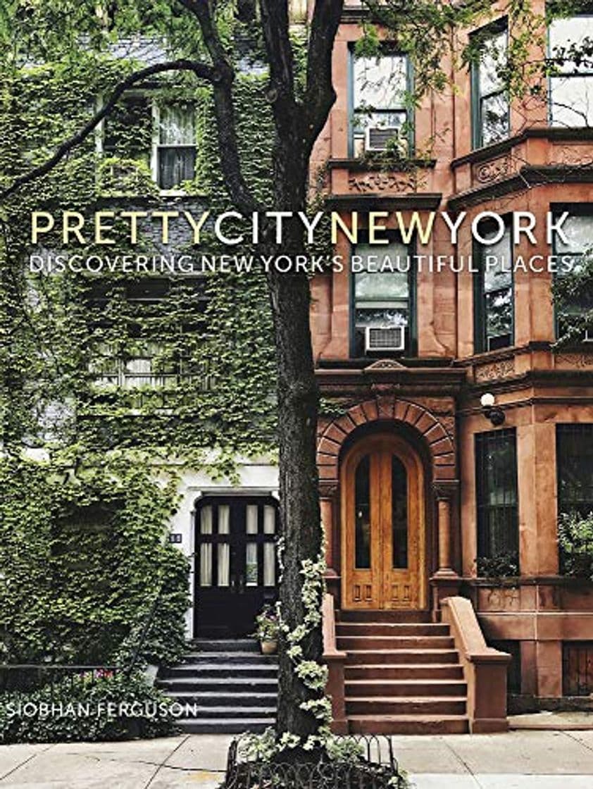 Book Ferguson, S: prettycitynewyork