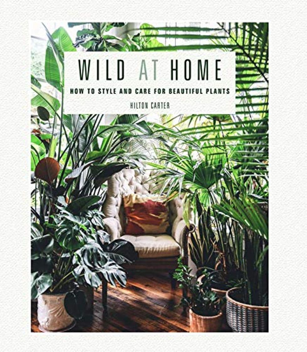 Book Wild at home