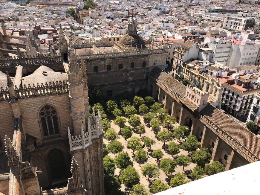 Lugar La Giralda 