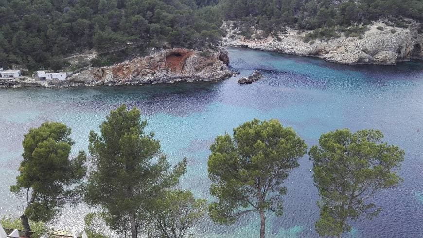 Lugar OLÉ Galeón Ibiza