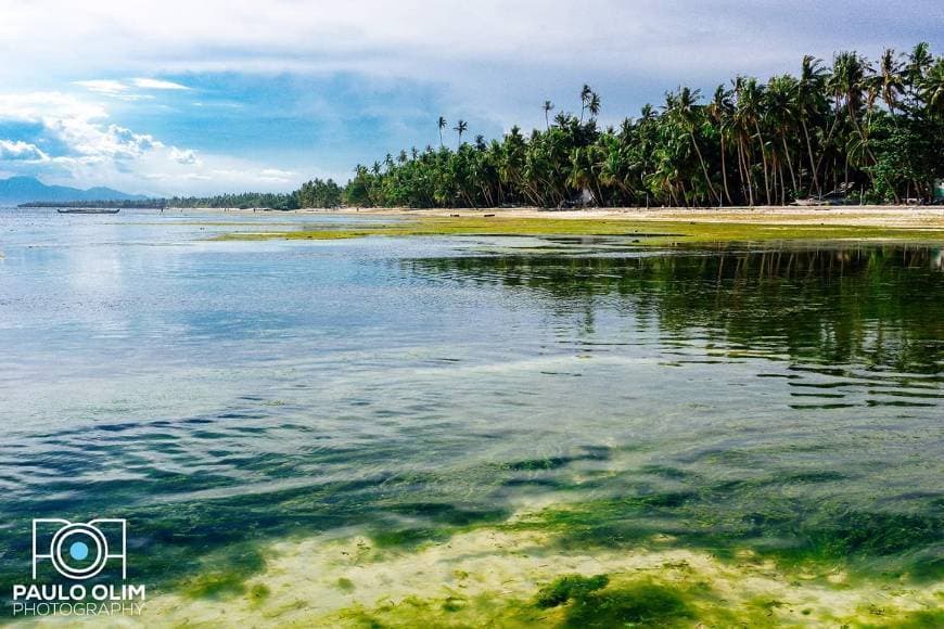 Lugar Siquijor