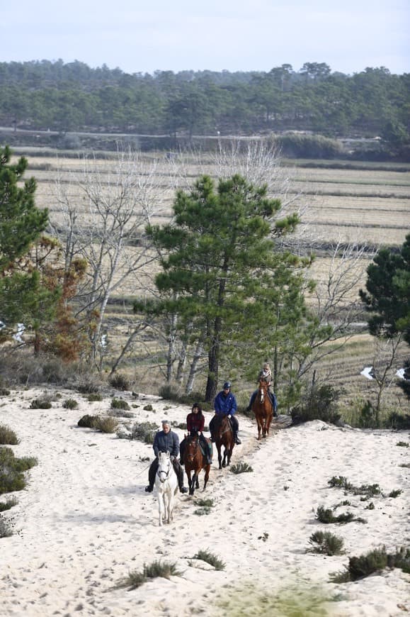 Lugar Cavalos na Areia