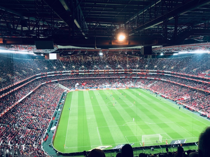 Lugar Estádio da Luz