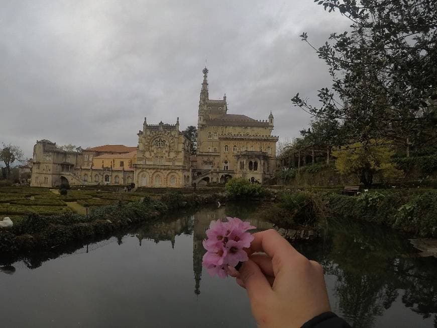 Place Bussaco