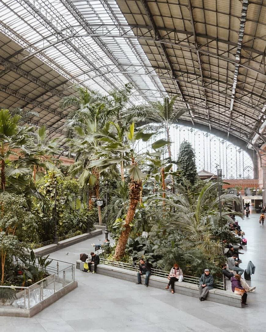 Place Atocha Station