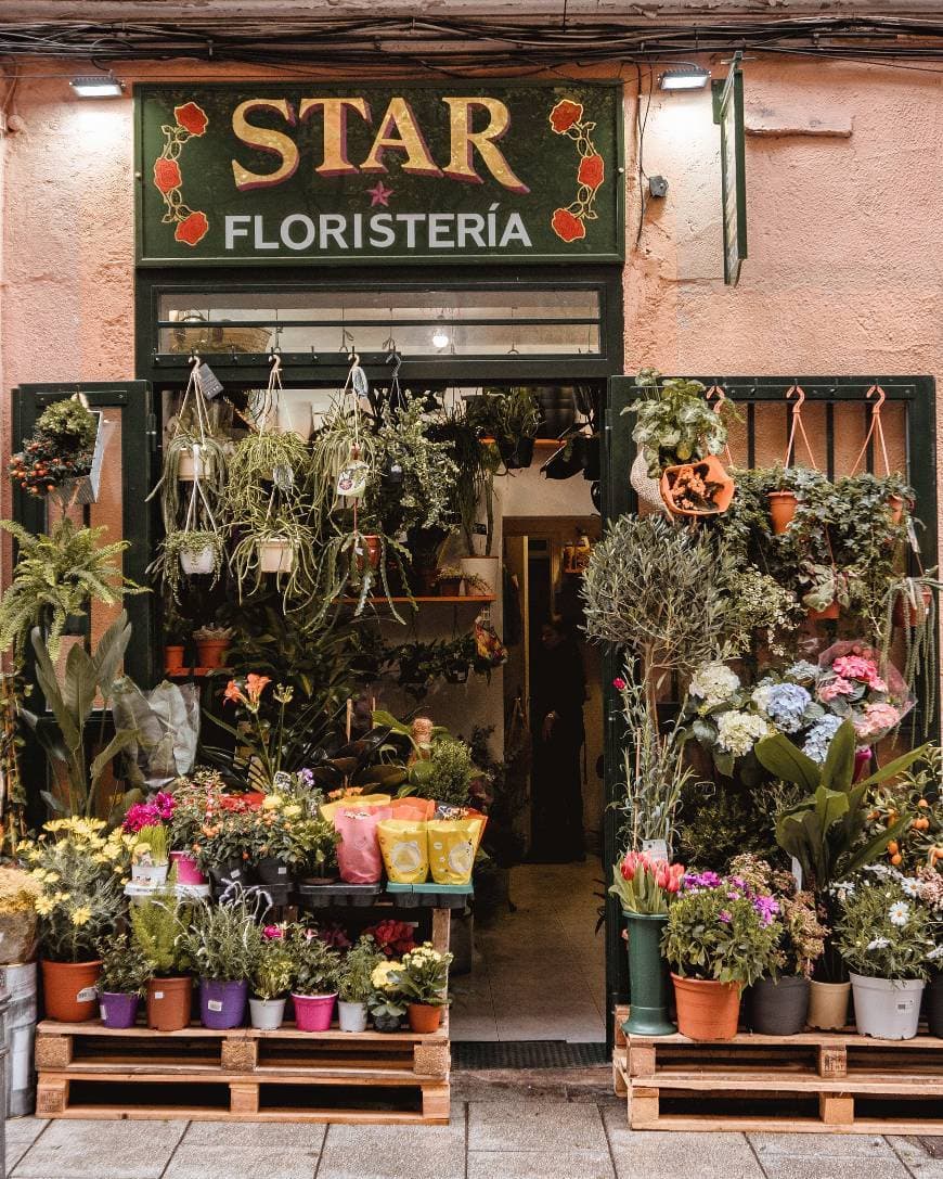 Place Floristería Star