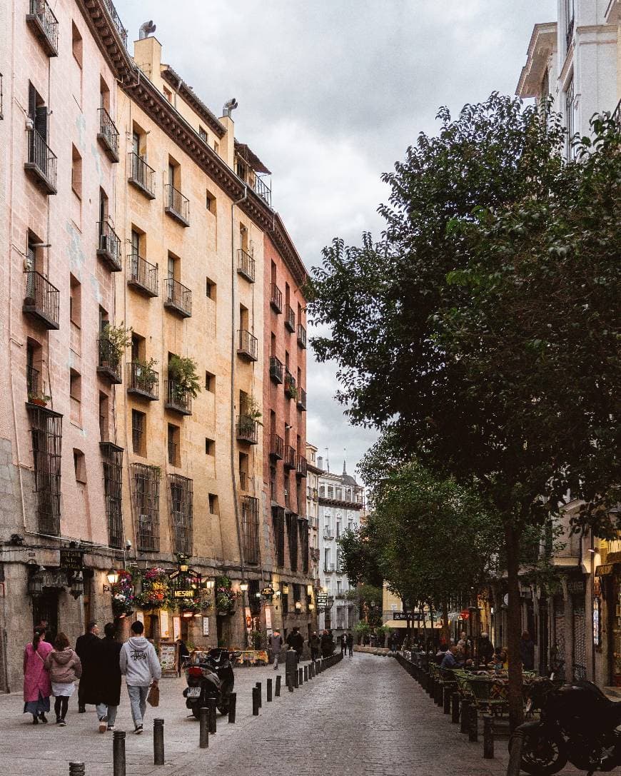 Place Cava de San Miguel