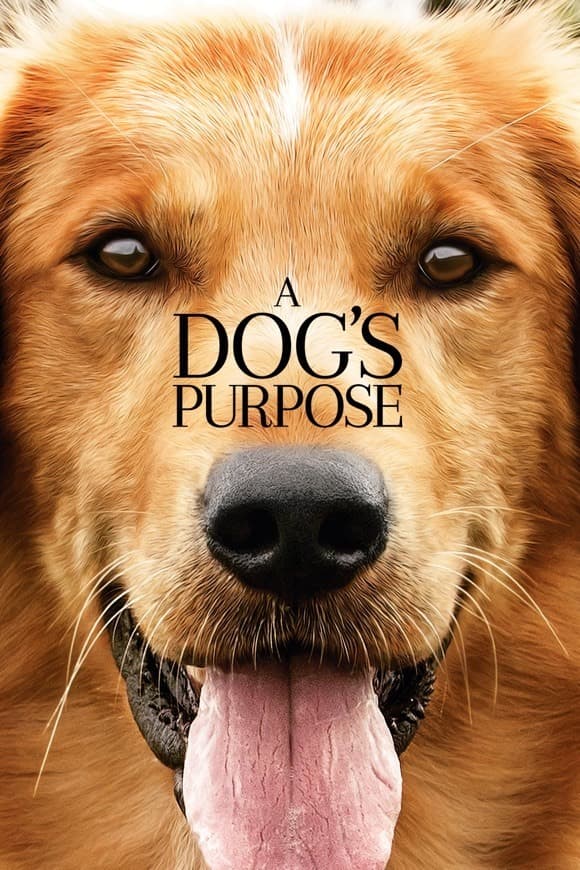 Película A Dog's Purpose