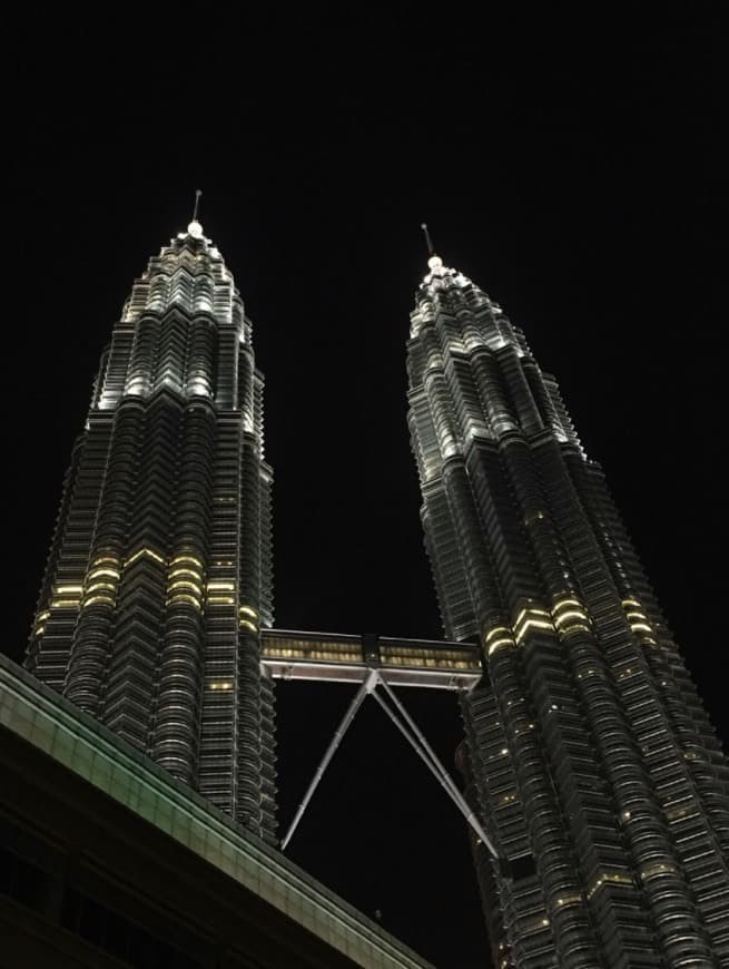 Place Petronas Twin Towers