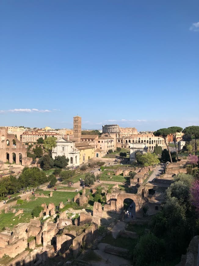 Place Foro Romano