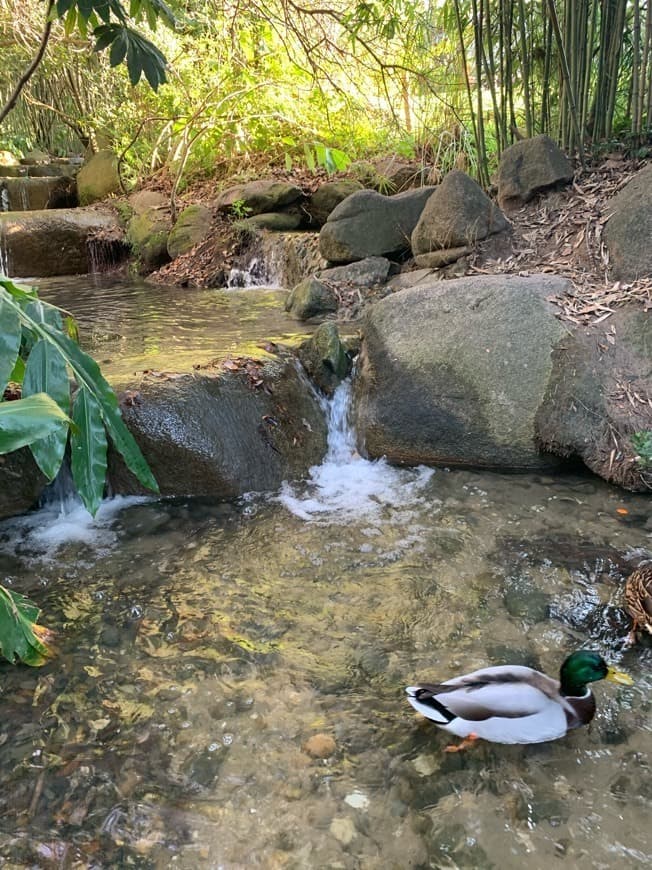 Lugar Parque Gulbenkian