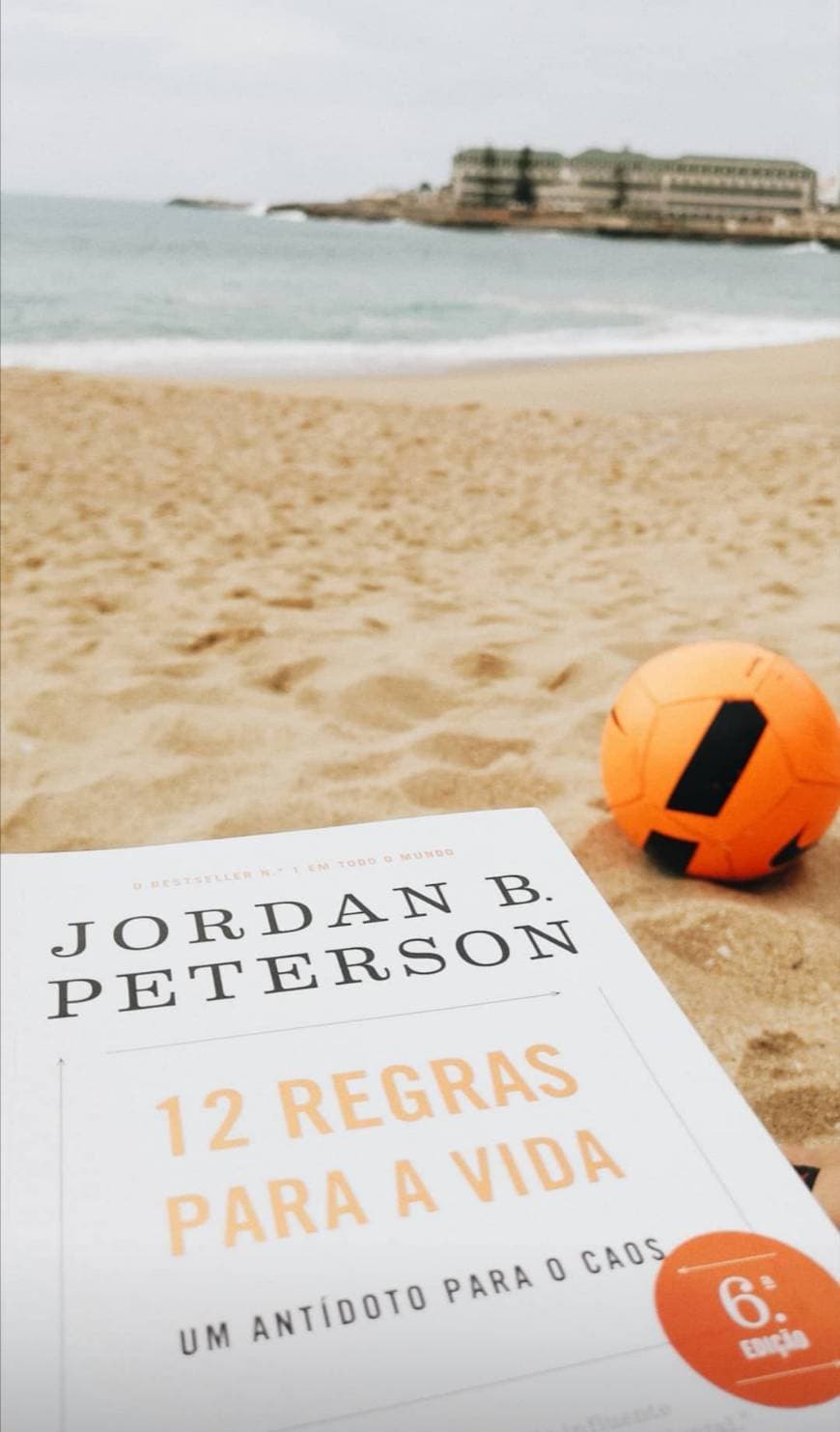 Book 12 Regras Para a Vida