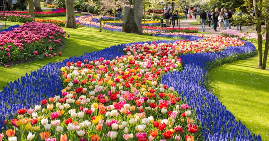 Place Keukenhof