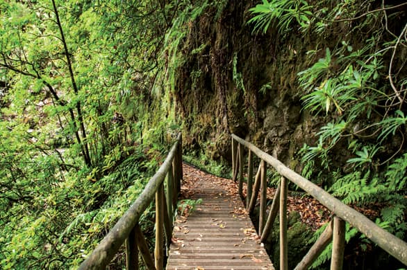 Lugar WalkMe | Levadas Madeira