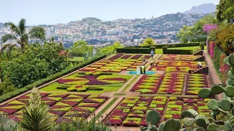 Place Jardín Botánico de Madeira