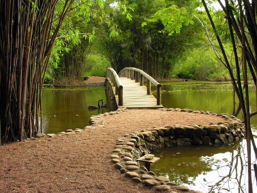 Place Jardim Botânico