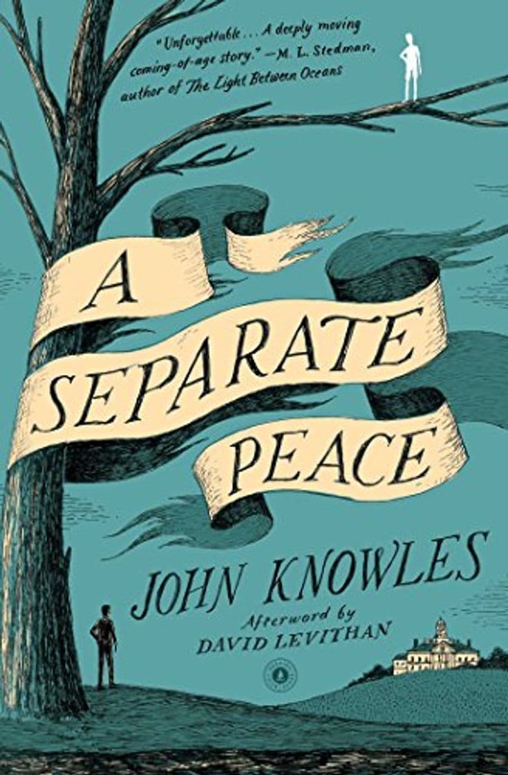 Book A Separate Peace