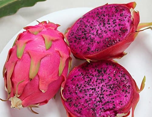 Producto 20 PURPLE DRAGON FRUIT