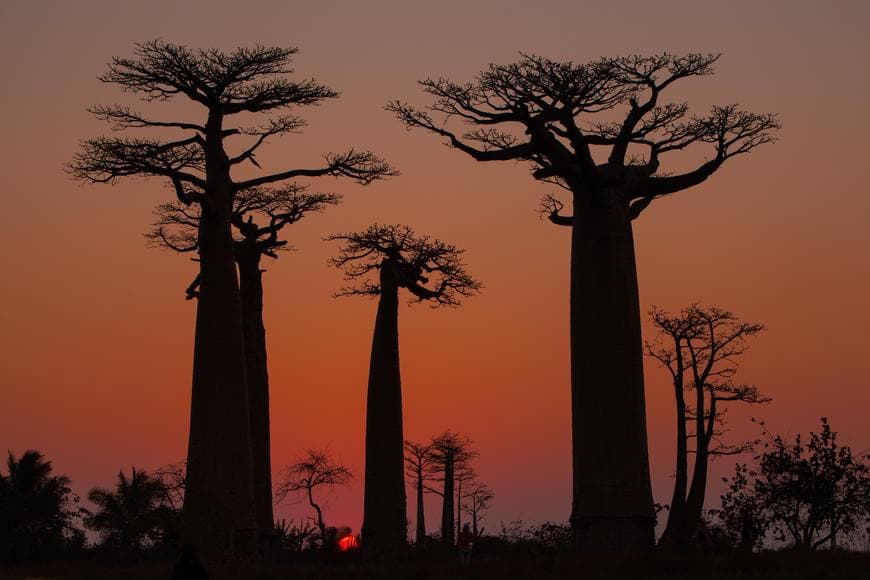 Lugar Madagascar