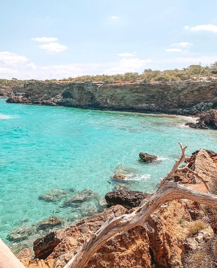 Place Cala Comte