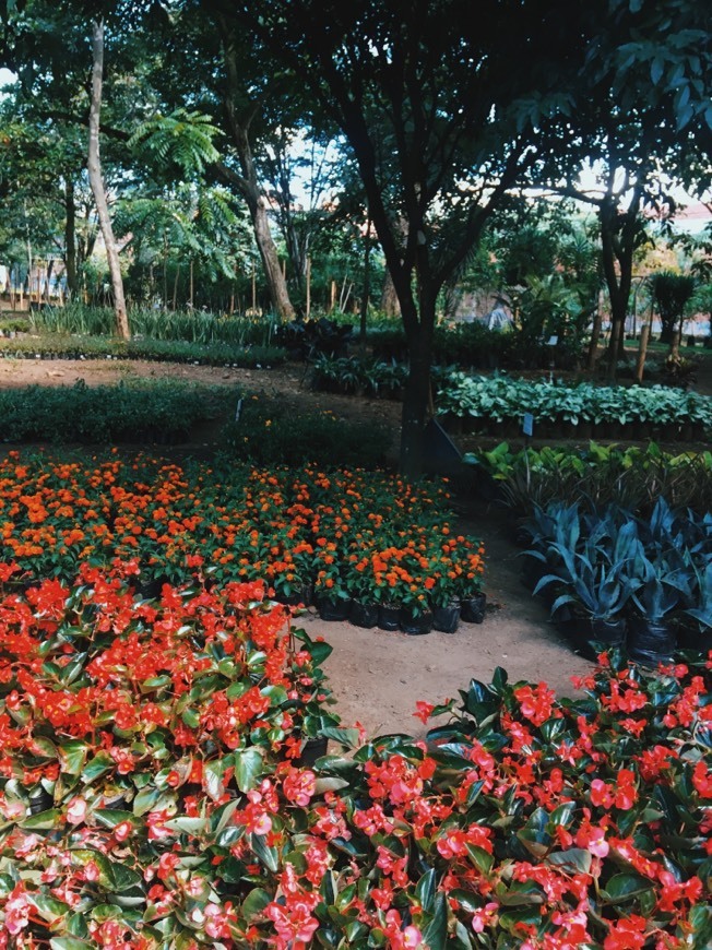 Lugar Jardín Botánico Joaquín Antonio Uribe